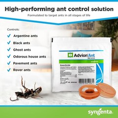 12 Count Bag Advion Ant Bait Arena Stations Pest Control Syngenta ANTS