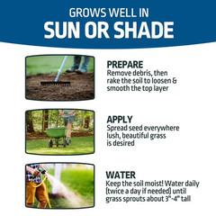 Expert Gardener Sun & Shade Northern Grass Seed Mix for Sun to Partial Shade