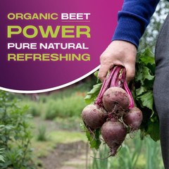 BEET IT Organic Beet Juice, 8.5 Ounce (Pack of 12) GMO-Free 100% Natural Beet Ju
