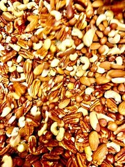 Raw Natural Mixnut Hazelnut Cashew Walnut Almond Pecan 11 oz.to 30 lbs.AgroSun