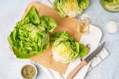 2000 BIBB LETTUCE (Limestone Lettuce) Lactuca Sativa Vegetable Seeds