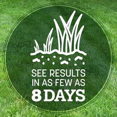 Pennington Kentucky 31 Tall Fescue Grass Seed Sun to Partial Shade 7- 20 lb Bag