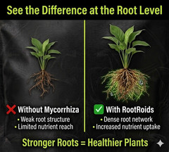 2 Lbs Granular Mycorrhiza – Soil Amendment & Root Enhancer, Microbial Additive