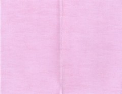 Funny ANYTIME Blank Card, Orange Cat Eating Pink Donut by Premium Greetings + ✉