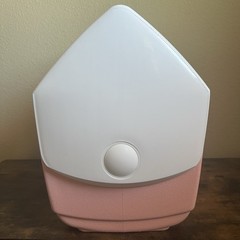 Igloo x Yes Way Rosé Playmate Cooler