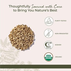 Starwest Botanicals Organic Astragalus Root – 16 Ounce (Pack of 1), No Color