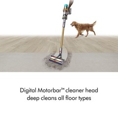 Dyson V15 Detect Absolute | Gold | Refurbished