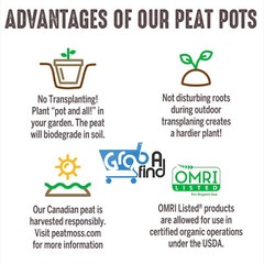 Jiffy 5″ Diameter Organic Seed Starting Biodegradable Peat Pots, 6 Pack