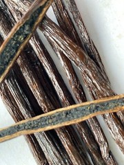 Organic FairTrade Madagascar Vanilla Beans Whole Grade A Pods – Benefits Charity