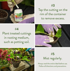 Garden Safe Take Root Rooting Hormone, 2-Ounce