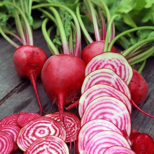 200 Chioggia Beet Seeds Non-GMO Heirloom USA Seller