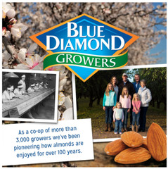 Blue Diamond Almonds, Lightly Salted Snack Almonds perfect for lunches and on