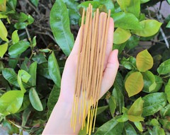 Satya Nag Champa 60’S PATCHOULI Incense Sticks Choose Amount (Sixties Patchouly)