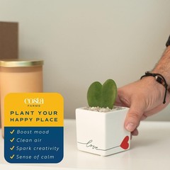 Easy-Care Hoya Heart Houseplant, Perfect Gift Idea*`/-$