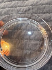 REDUCE Saltini 16 oz Cocktail Tumbler with Lid, Papaya Color