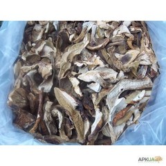Dried porcini (Boletus) from Ukraine Carpathian mountaines.
