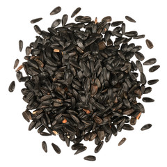 40 Red Sun Sunflower Seeds – Deep Red to Scarlet Red Blooms – Stunning Reds