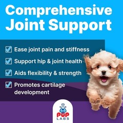 Freedom Joint Drops for Dogs with Hyaluronic Acid, MSM, Glucosamine, & Chondroit