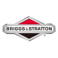 Briggs and Stratton Camshaft 84005207 Includes 697110 Gasket 795387 Made in USA