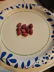 1/2 Pound (Approx. 350 Shelled) Tennessee Red Valencia Peanut Seeds In Shell
