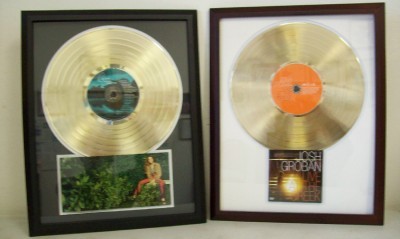 Blank Gold LP Album Record Award Custom CD/ DVD Display DIY Customized Display