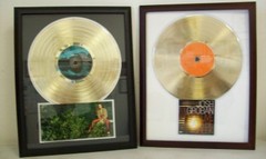 Blank Gold LP Album Record Award Custom CD/ DVD Display DIY Customized Display
