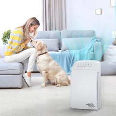 Home True HEPA Air Purifier Large Room Air Cleaner for Allergies Smoke Mold Odor