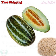 Fragrant Musk Melon seeds, Dưa Gang, Thai Long Muskmelon | Non-GMO, Organic