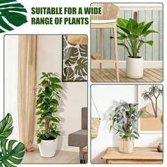 4 Packs Moss Poles Climbing Plants Stackable & Refillable Plastic Support Stakes