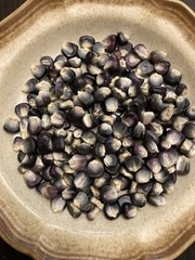 Black Aztec Corn Seeds 50 Fresh Seeds Garden Planting Non-GMO