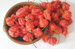 20 SEEDS OF CAROLINA REAPER EXTREMELY SPICY PEPPER 100% GUARANTEED