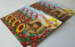 15x LA CHICA FRESITA Fresa/Strawberry Car Air Freshener Aromatizante Mexico