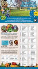 50 Million Beneficial Nematodes HB – Targets Grubs, Japanese Beetles, Cucumber