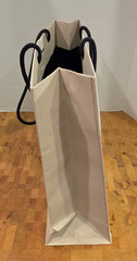 Burberry Empty Shopping Bag Tissue 1856 Tan Silver 16.5 x 11.5 x 4.5 FREE S&H