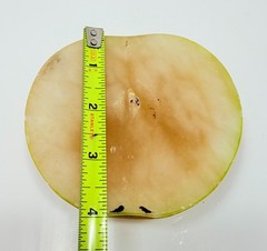 Antique Italian Alabaster Stone Half Apple w/ Wedge Slice Trinket Bowl Sculpture