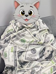 Money Throw Blanket 100 Dollar Bill Cozy Decor Nap Cash Sofa Couch 40×50 Inch