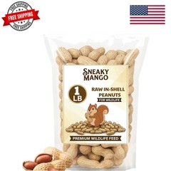 Snaky Mango Raw Peanuts in Shell – 1 Pounds – All-Natural Food for Squirrels,…