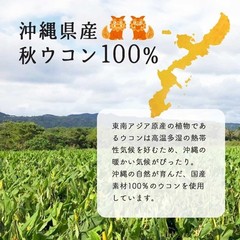 Okinawa Turmeric Powder 100g Natural Spice Japan Additive Free