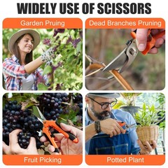 3 pcs garden shears Stainless steel Gardening scissors Pruning shears for garden