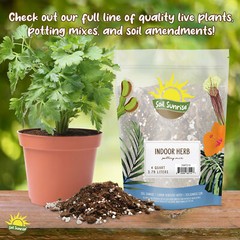 Greensand Soil Amendment; Special Container Gardening Additive