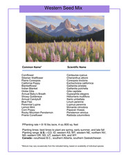 1/4 Pound Eastern Washington Bulk Wildflower Seed Mix 1/4lb Covers 800sq-ft