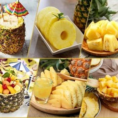 Pineapple Corer Slicer Peeler Cutter Stainless Steel Sliver Kitchen Fruit Tools