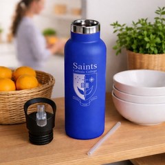 16oz Stainless Steel Insulated Water Bottle with Straw Lid Leakproof Travel Gym