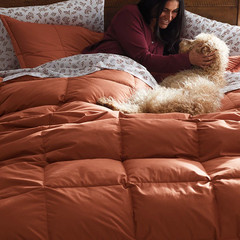 [FLASH SALE] The Company Store LaCrosse Premium Down Light Warmth Comforter