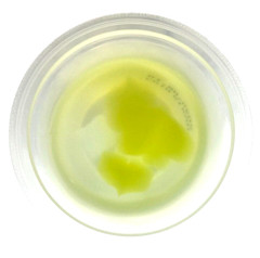 Japan Jelly Bourbon After Meal 0kcal Jelly Muscat Flavor 138g × 12 cups