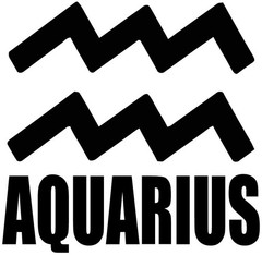 Aquarius Zodiac Sign Car Decal Sticker Vinyl #6428