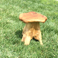 GREENAGE Natural Cedar Mushroom Stool Plant Stand Nightsstand Side Table 13.5″ H