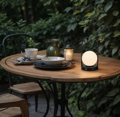 9.8 In. Black Contemporary Rechargeable 3CCT Integrated LED Globe Lamp with Hand