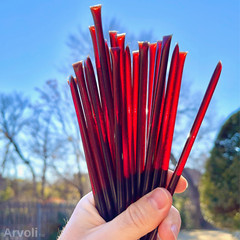Elderberry infused Honey Sticks (50 pack) – ALL Natural