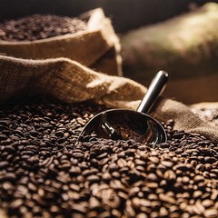 Green Mountain Coffee Roasters® Costa Rica Paraiso™ Ground Coffee 10oz